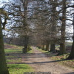 Knole Park, Sevenoaks